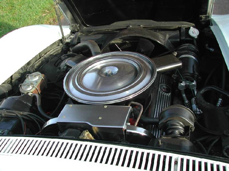 MARTINSRANCH 72 Stingray white red (4) 